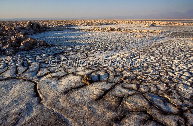 chili 10.JPG - Salar d'AtacamaChili